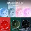 Golden Bear Hamster Treadmill Wheel – Available in Various Colors.