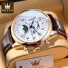 OLEVS 6667   Coated Glass  Custom Watches Brand Fashion Business Sport Multifunctional Men Wrist Luxury Watch