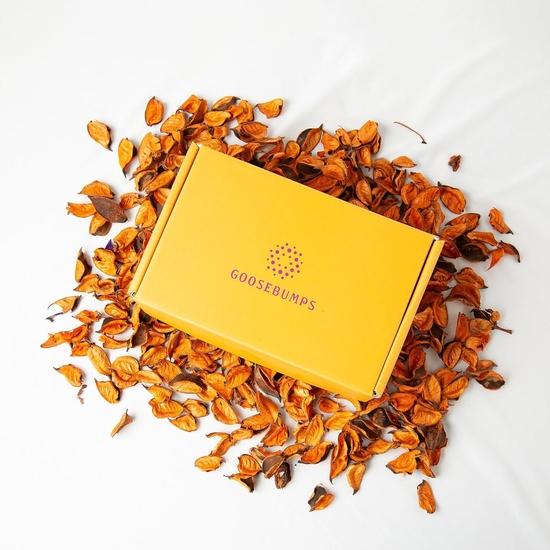 Goosebumps Diwali Eco Festive Gift Box | Celebration Gift Hamper For Diwali | Corporate Gift | Masala Fruits Assorted Pack of 4  | 352g (Pack of 10)