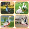 Chicken Diapers for Hens Pet Duck Diapers Reusable Washable Indoor Diapers Chicken Clothes Accessories with Bow Tie for Poultry