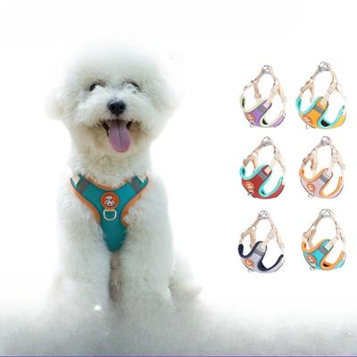 Cani – Collari e guinzagli per cani