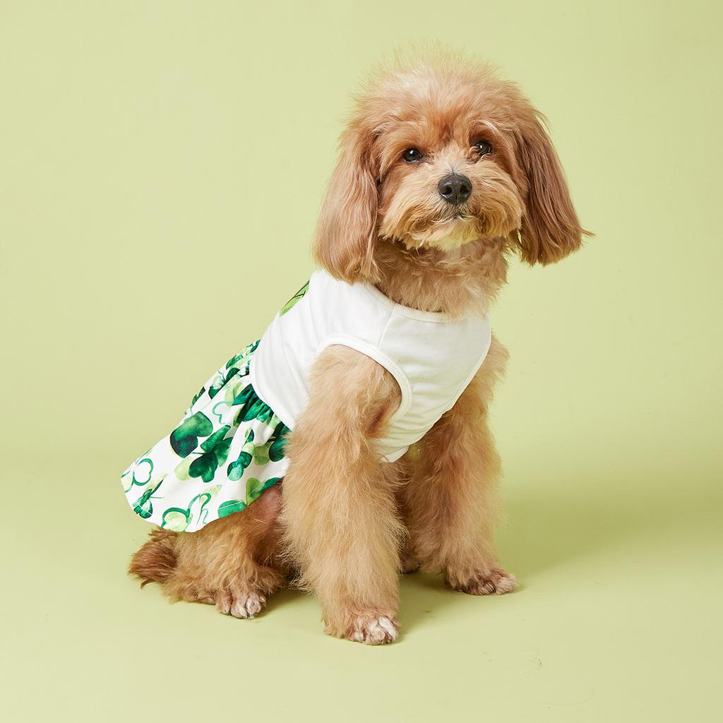 Cutest Clover In The Dog Dress, St Patricks Day Dog Clothes for Small Dogs Girl, Funny Pet Apparel Cat Holiday Outfit