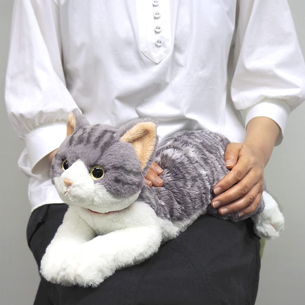 Sun Lemon Knee Cat Sabashiro Medium 18 x 47 x 16cm Stuffed Animal P-7792