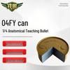 Rongpeng 04FY Quarter Dissection Ordnance Training Model