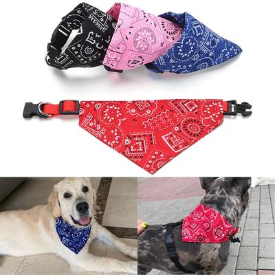 Giyim ve ayakkabı – Köpek Aksesuarları