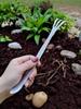 Stainless Steel Three-Pronged Bonsai Rake for Soil Loosening & Garden Planting