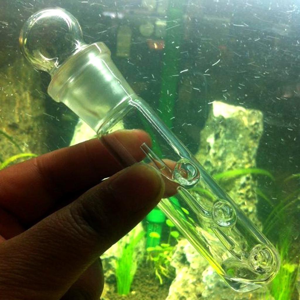 Planaria Traps Aquarium VIV Pest Catch Pen Shrimp Leeches Plannaria Plant Trap Worm Catcher