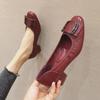 Spring Autumn Women High Heels Single Shoes Elegant Ladies Brand Heeled Shoes Soft Low Heels 3.5cm Plus Size 42