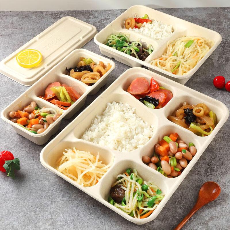 ZISIZ Disposable Multi-compartment Paper Lunch Box