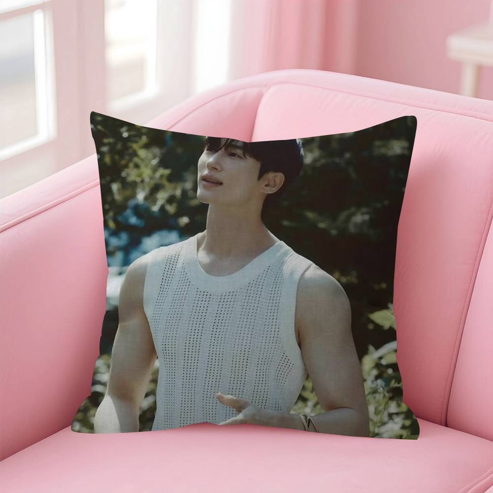 Korean Celebrity Byeon Wooseok  Pillow Gift Home Office Decoration Bedroom Sofa Car Cushion Cover case 45x45
