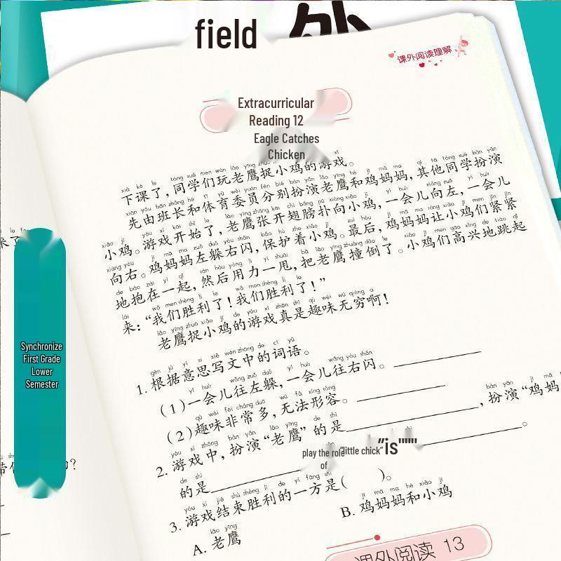 2025 Calligraphy Practice Sheets: 6-Volume Illustrated Diary for Elementary Students – Record Events, Scenery, Emotions with Pinyin