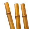BioBamboo Stick bamboo pole 60cm 22-30mm bamboo