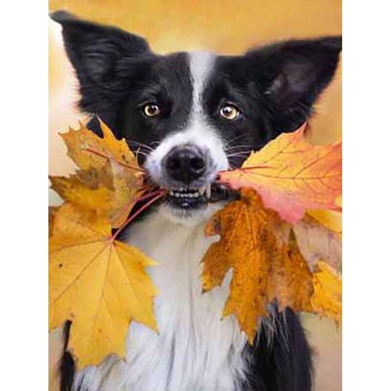 5D DIY Diament Malarstwo Jesienne Liście Pies Diament Haft Zwierząt Cross Stitch Pełne Kwadratowe Okrągłe Wiertła Home Decor Instrukcja Prezent