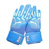 Puma Unisex Adult Future Match NC Goalkeeper Gloves