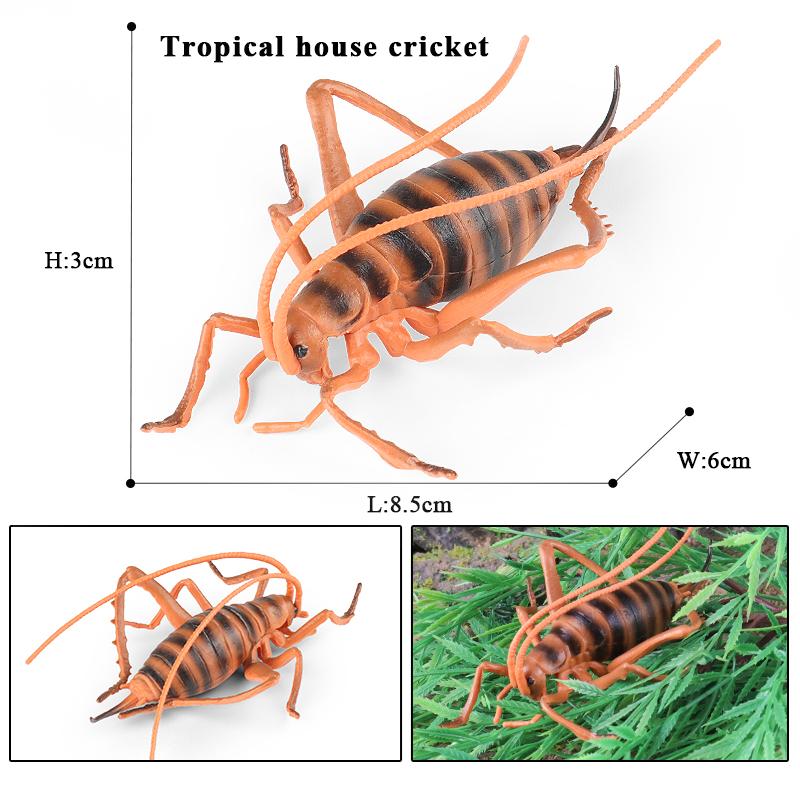 Oenux Wild Insect Animals Model Mantis Grasshopper Butterfly Bee Beetle Action Figures PVC Science Education Collection Kid Toy