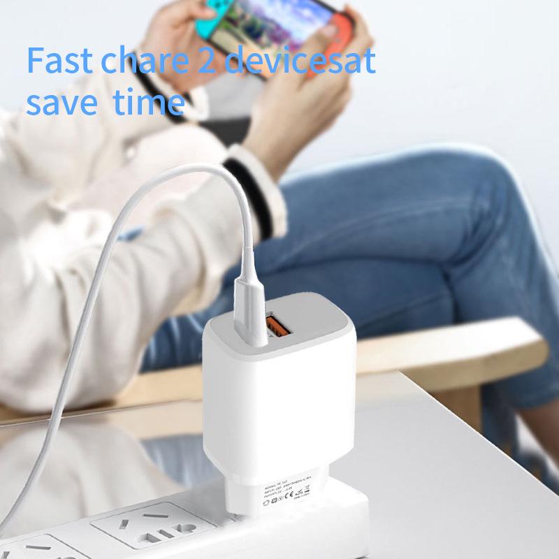 Dual Port 5V2.4A USB Charger for Mobile Phones - European Standard