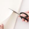 Shedein Stainless Steel Craft Scissors