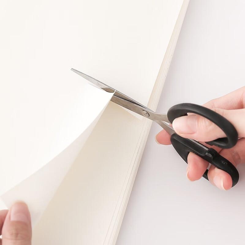 Shedein Stainless Steel Craft Scissors