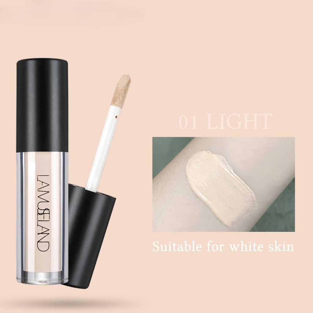 4 Farben Flüssiger Concealer Gesichtsschönheit Gesichts-Make-up Kosmetik Verstecken Sie den Makel