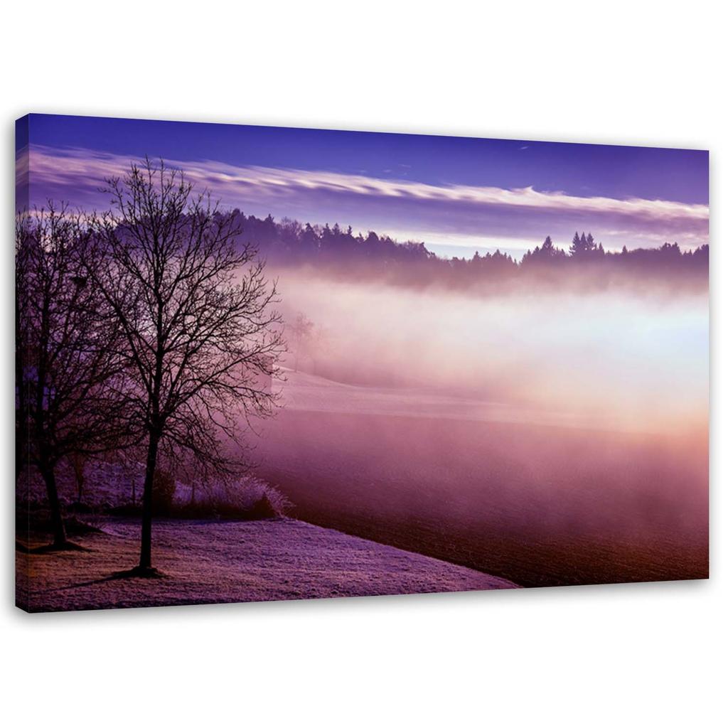 Canvas Print Fog Over Violet Lake
