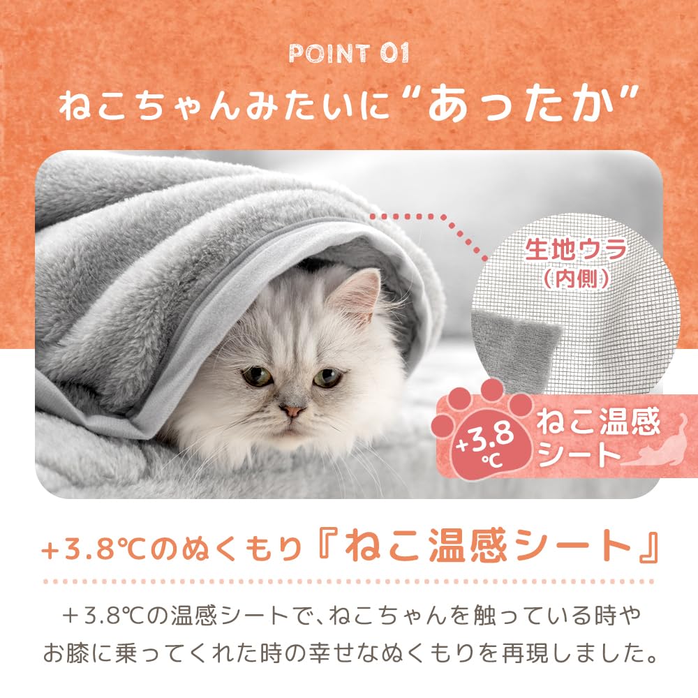 Gen of the chest of drawers Now a 2 Single Warming Cat Winter it's cat. Blanket, Pieces, +3.8℃ Sheet, Pattern, Fluffy, Warm, Washable, 80100133(99829)