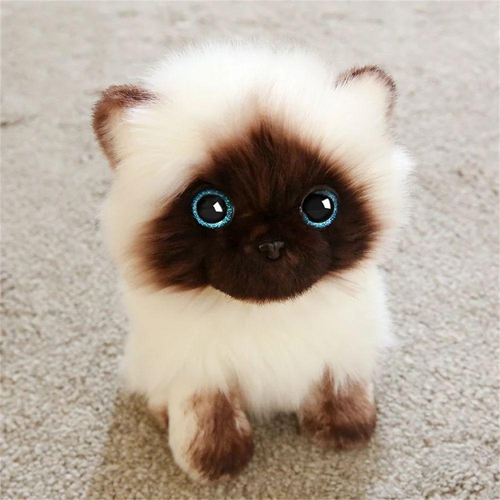 Eyes Simulation Cat 20/26CM Brown and White Stuffed Toys Cat Plush Toy Stuffed Animals Ragdoll Cats