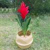 Basket Rattan Folding Wicker Handle Round Natural Sea Grass Plant Storage Wood