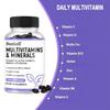 Multivitamin-Mineralien Nahrungsergänzungsmittel, 26 essentielle aktive Vitamine & Mineralien pro Portion