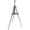Art Painting Stand Black Angle Height Adjustable Foldable Metal Easel Tripod with Tray for Drawing