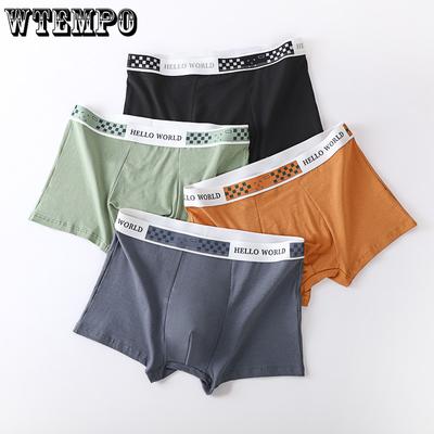 Cuecas – Calções bóxer