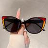 Popular Cat Eye Designer Sunglasses Leopard Decoration Gradient Women's Sun Glasses Ins Brand Trends Shades for Lady