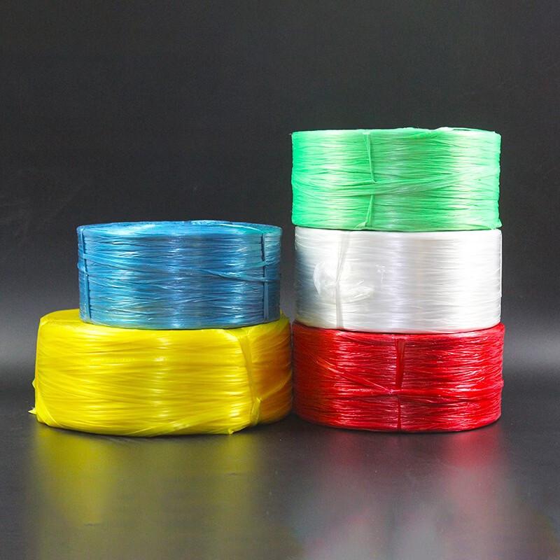 Colorful Plastic Nylon Packing Strap