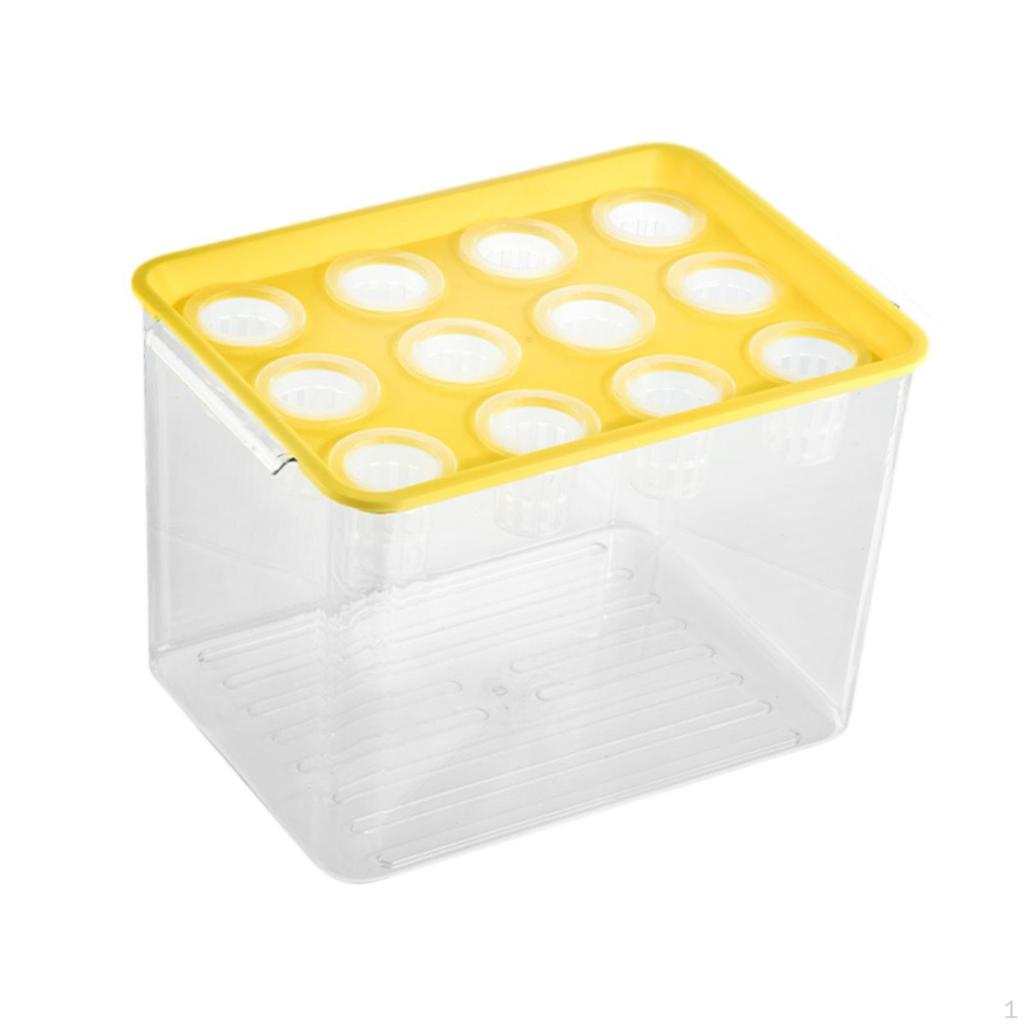 Home Hydroponics Growing Box for Microgreens Development