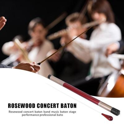 Orchestr Vláknová Trubka Kapela Ebenové Dřevo Hudební Taktovka Taktovka Pro Dirigenta Začátečníci