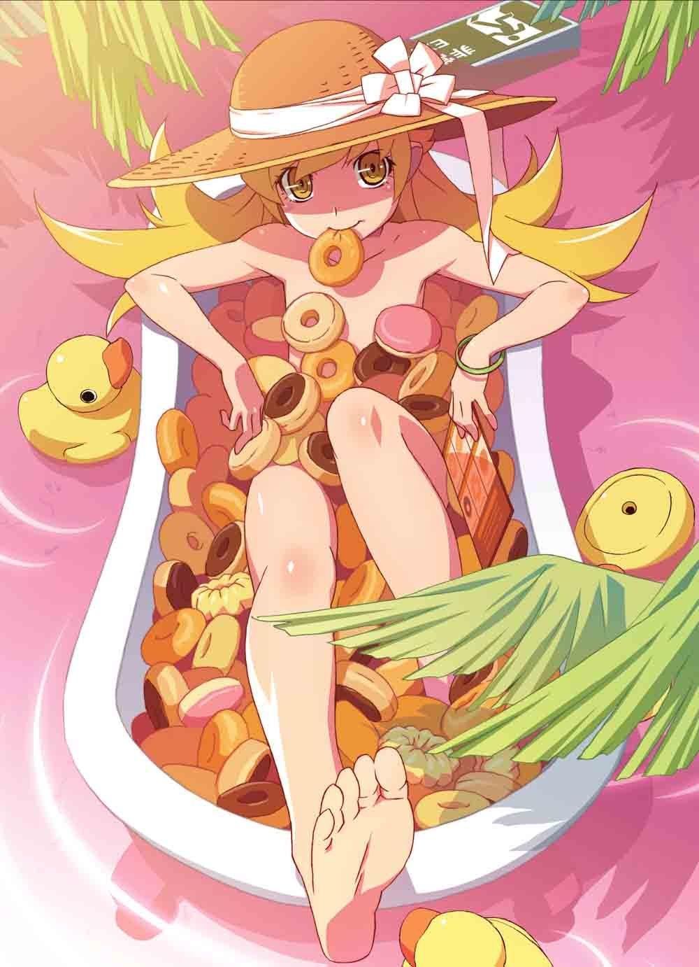 

False story Nisemonogatari Karen Bee / third volum