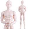 Unbemalte männliche Puppe Nackter Körper Figur Schaufensterpuppe für Bastelmodell Projektpuppe Actionfigur für Kugelgelenkpuppe