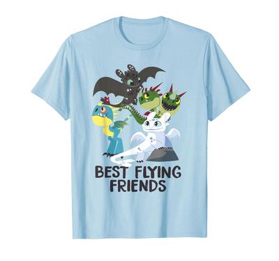 Drachenzähmen leicht gemacht 3 Die verborgene Welt Bester Freund T-Shirt