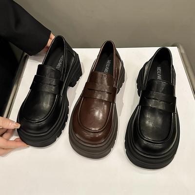 Thick Heel Low Top Loafer Single Shoes Women's Spring New College Round Head Fashion Small Leather Shoes Mary Jane Shoes