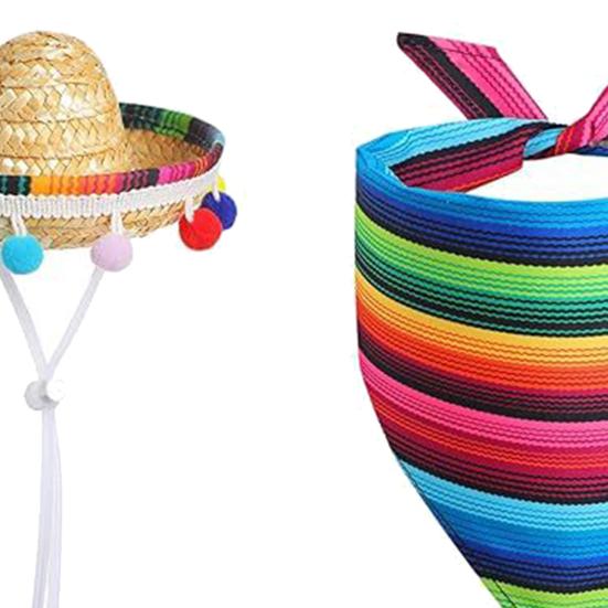 Mexican Goose Outfit Set for Lawn Goose Statue Mexican Sombrero And