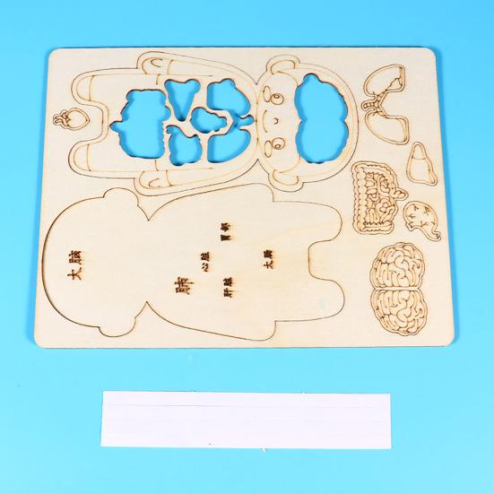 Menschliches Inneres Organ Puzzle Spiel Pädagogisch Menschlicher Körper Struktur Anatomie Puzzlebrett Kinder