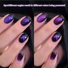 2025 Chameleon Cat Eye UV Gel Nail Polish Set for Salon Manicures
