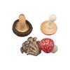 Vegetable Model Fungus Figurines Landscape Miniatures Artificial Simulation Mushroom Plant Teaching Fungus Model