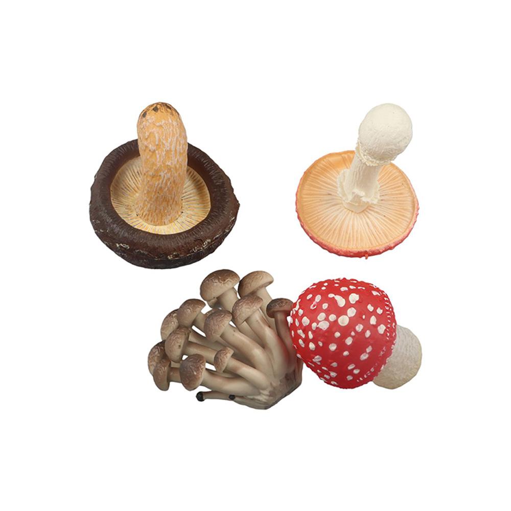 Vegetable Model Fungus Figurines Matsutake Oyste Artificial Simulation Mushroom Landscape Miniatures Teaching Fungus Model