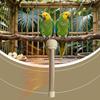 Bird Heater Indoor Bird Perch Heater Stand For Parakeets Anti Bite Pet Supplies For Nighttime Travel Conure Hammock Indoor