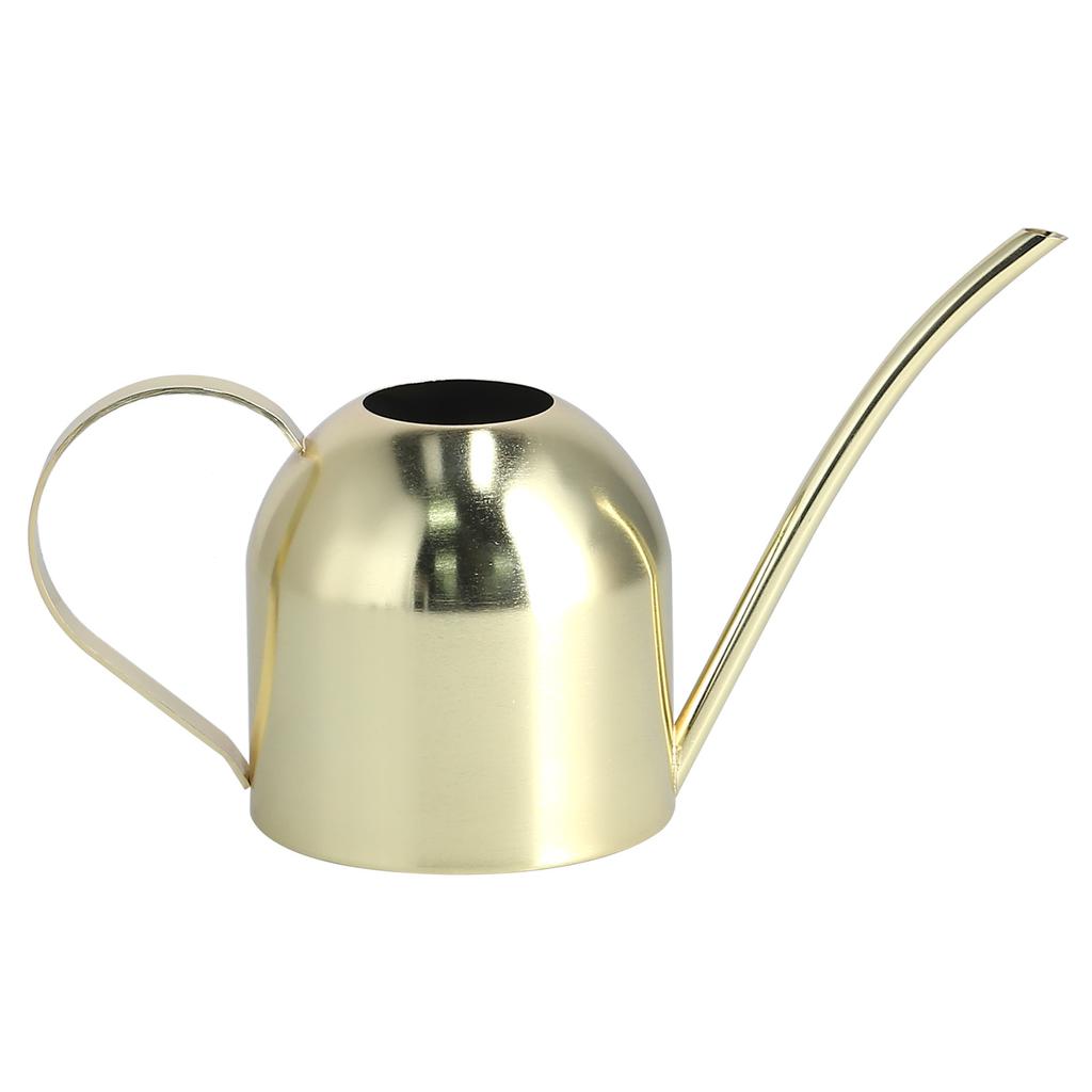 1000ML Vattenkanna Inomhus Vintage Rostfritt Stål Suckulenter Blommor Växter Vattningskittel Kruka Guld