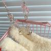 Trendy Bowknot Charm Stylish Keychain Fringe Chain Durable Phone Lanyard Long Lasting Phone Jewelry Suitable for Phone