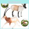 Wild Tibetan Antelope Solid Plastic Model Set For Kids Educational Play And Collecting