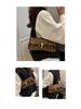 Leopard Print 2025 Trend Women's Handbag - Small Square Crossbody & Shoulder Bag for European and American Fashion.