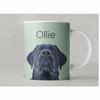 Custom Pet Photo Ceramics Mug Personalized Drinkware Pet Portrait Name Text Memorial Coffee Cup Gift for Pet Lovers