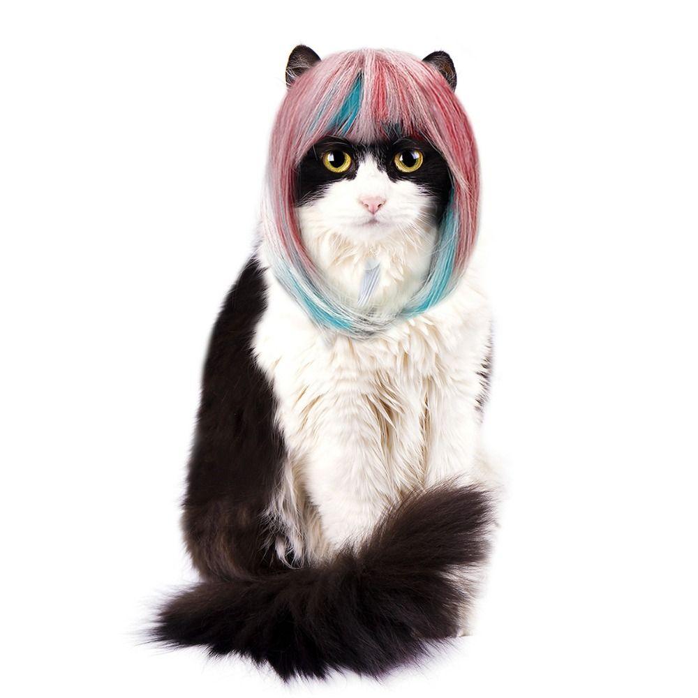 Long Hair Blue Pink Wig Colorful Dog Headwear Universal Dog Cat Costume Wig  Party Dress Up
